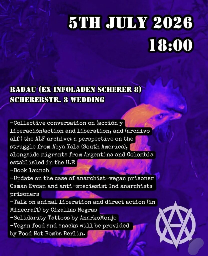 05.07: Acción y Liberación